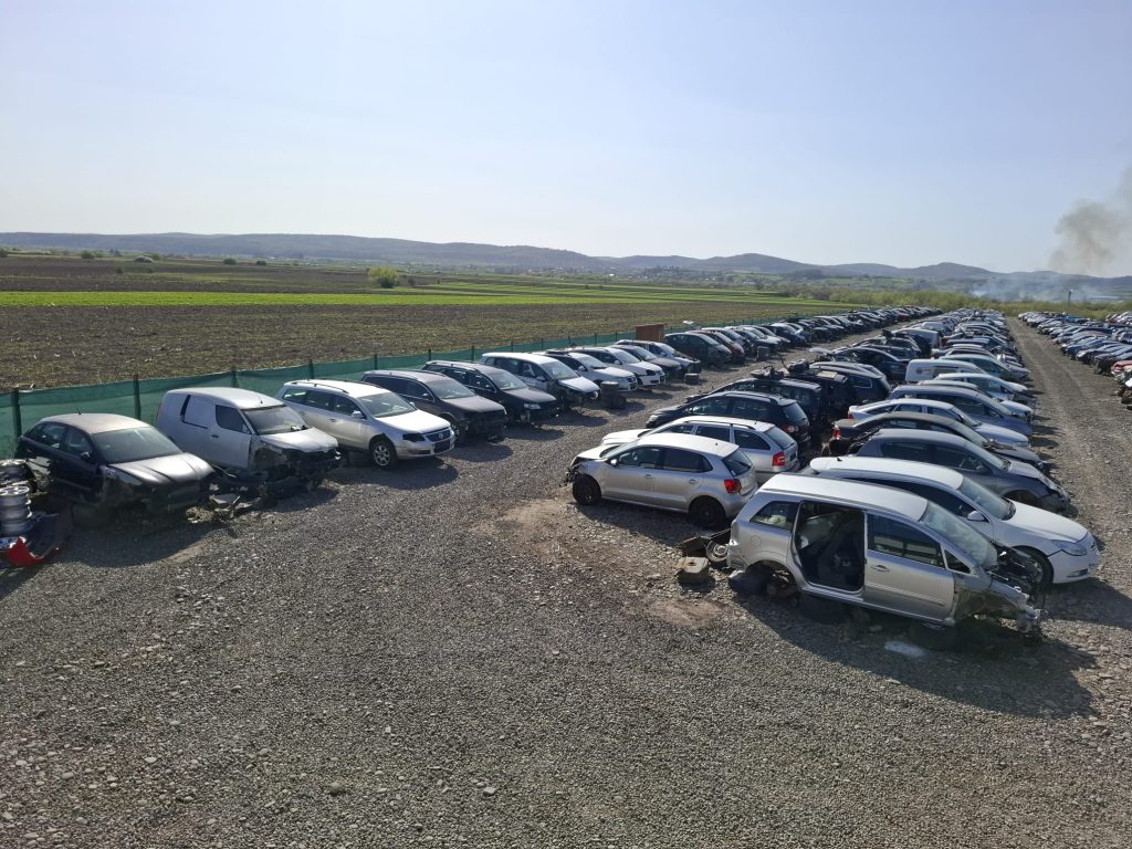 WhatsApp Image 2025-04-16 at 16.46.50 (3)