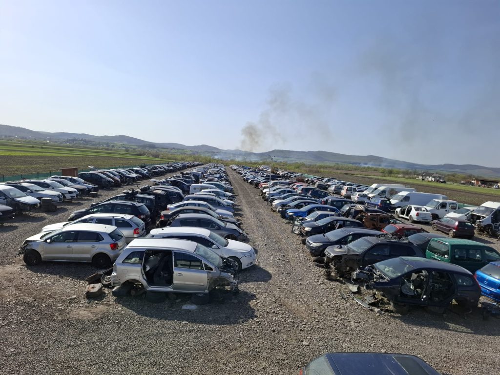 WhatsApp Image 2025-04-16 at 16.46.50 (4)