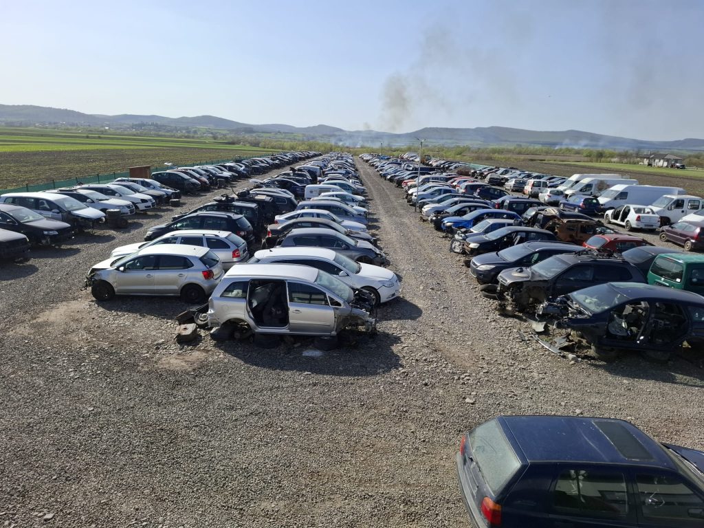 WhatsApp Image 2025-04-16 at 16.46.50 (5)