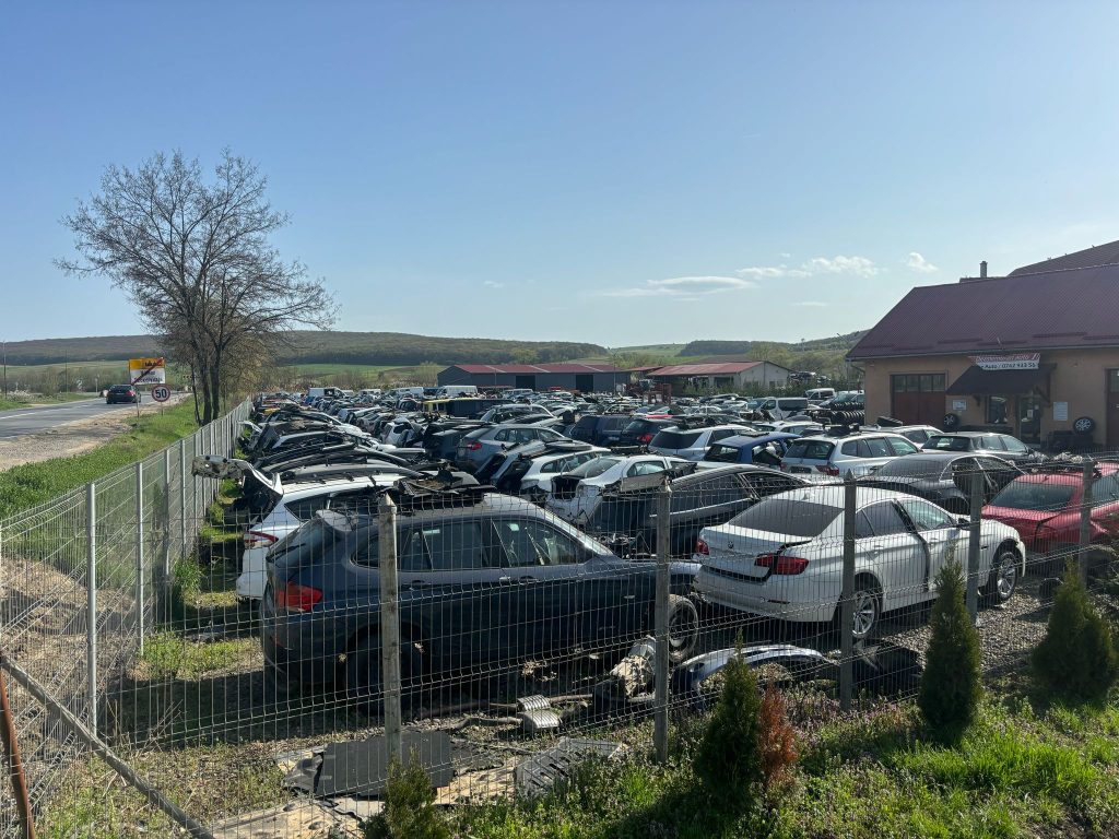 WhatsApp Image 2025-04-16 at 16.51.20